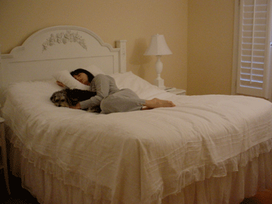 luxury adjustable bed sleep systems in los angeles ca