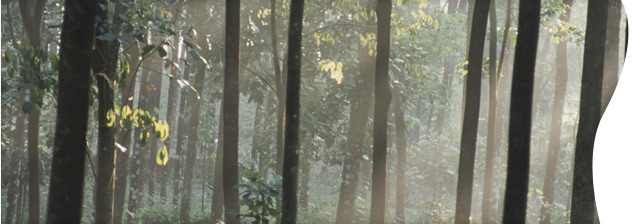 hero-sustainability