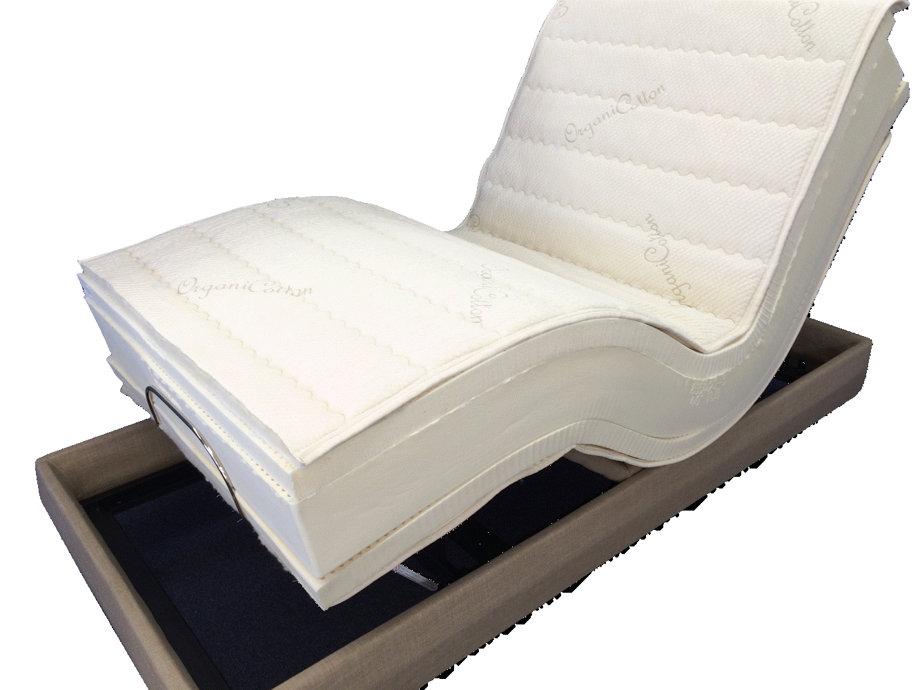 Scottsdale latexpedic latex natural organic foam whole mattress