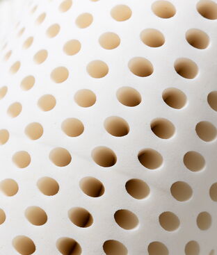 San Francisco Organic Beds