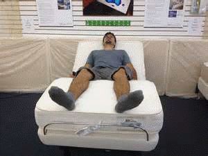 reverie bed