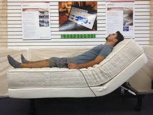tempe adjustable bed organic electro-pedic